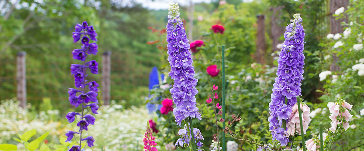 スライダー画像2